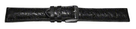 Correa reloj-Avestruz auténtico-Cierre de hebilla-color negro