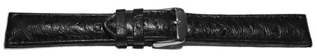 Correa reloj-Avestruz auténtico-Cierre de hebilla-color negro